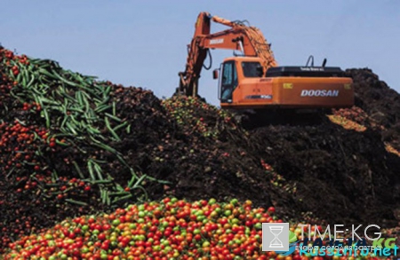 Импортозамещение в России в 2017 году