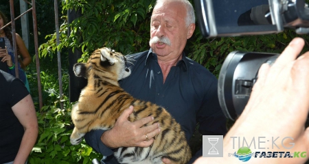 Леонид Якубович, последние новости: телеведущего обвинили в политической агитации