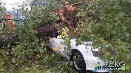 Одессу накрыла сильнейшая за 30 лет стихия (фото, видео)
