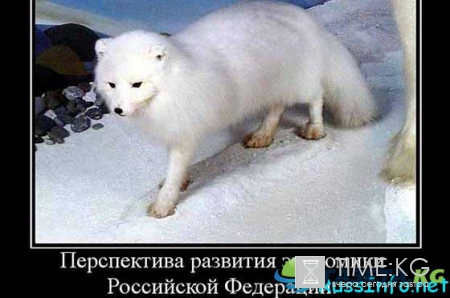 Перспективы жизни в России в 2017 году