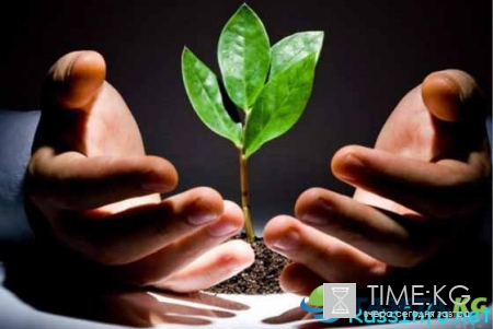 Перспективы жизни в России в 2017 году