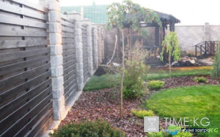 Пощады не будет: Народный депутат Украины подвергся расправе