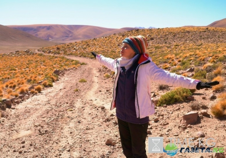 Регина Тодоренко чуть не стала обедом для бегемота