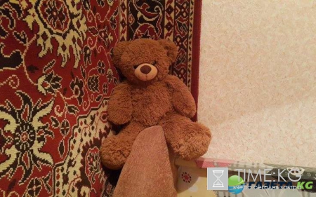 В поезде Адлер-Киров от менингококковой инфекции скончалась 4-летняя девочка