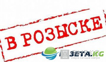 Зеленые считают, что глава ЦИК замешана в «информационном жульничестве»