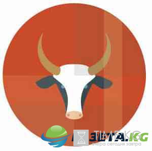 Гороскоп на 2017 от Василисы Володиной Гороскоп на 2017 от Василисы Володиной