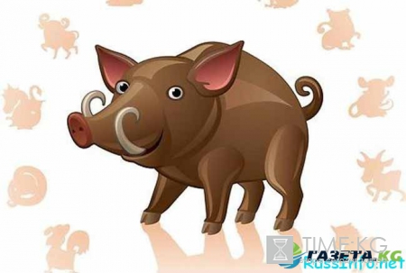 Что ждет Кабана в 2017 году по восточному гороскопу