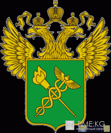 День таможенника России в 2016 году – какого числа празднуют, история и традиции