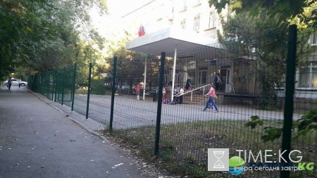 День учителя – какого числа отмечают праздник в 2016 году в России, история и обычаи