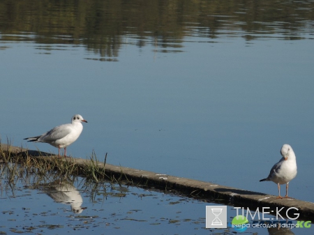 Кишиневская осень. Замечательный октябрьский день на Комсомольском озере