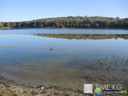 Кишиневская осень. Замечательный октябрьский день на Комсомольском озере