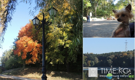 Кишиневская осень. Замечательный октябрьский день на Комсомольском озере