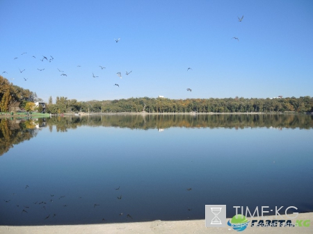 Кишиневская осень. Замечательный октябрьский день на Комсомольском озере