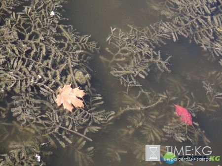 Кишиневская осень. Замечательный октябрьский день на Комсомольском озере