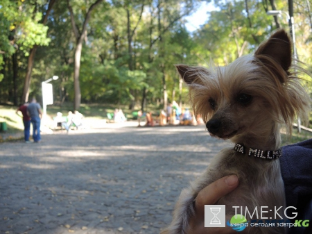 Кишиневская осень. Замечательный октябрьский день на Комсомольском озере