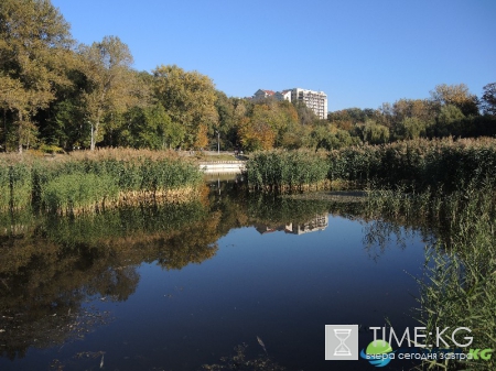 Кишиневская осень. Замечательный октябрьский день на Комсомольском озере