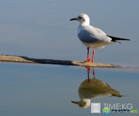 Кишиневская осень. Замечательный октябрьский день на Комсомольском озере