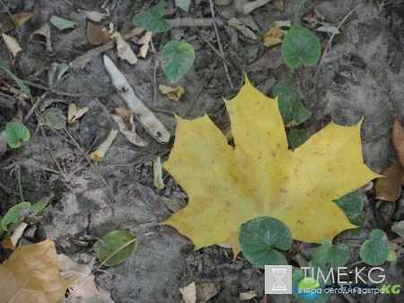 Кишиневская осень. Замечательный октябрьский день на Комсомольском озере