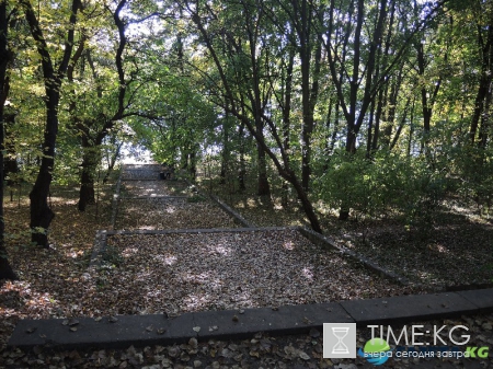 Кишиневская осень. Замечательный октябрьский день на Комсомольском озере