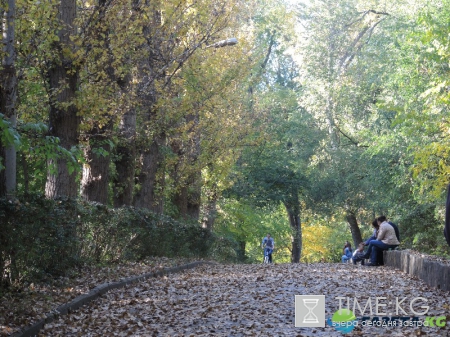 Кишиневская осень. Замечательный октябрьский день на Комсомольском озере