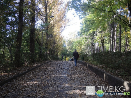 Кишиневская осень. Замечательный октябрьский день на Комсомольском озере