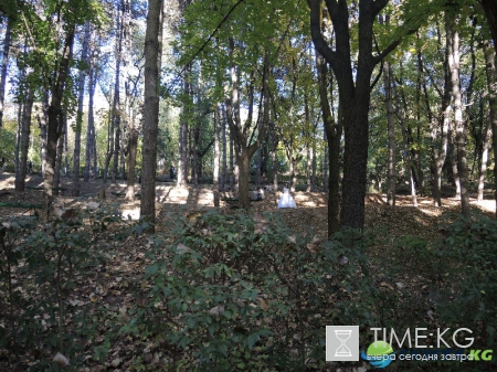 Кишиневская осень. Замечательный октябрьский день на Комсомольском озере