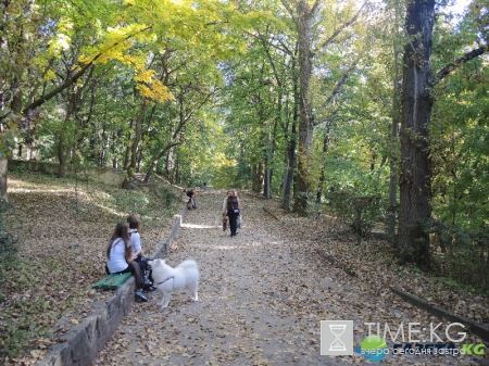 Кишиневская осень. Замечательный октябрьский день на Комсомольском озере