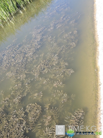 Кишиневская осень. Замечательный октябрьский день на Комсомольском озере