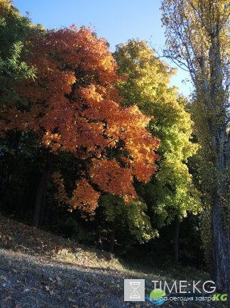 Кишиневская осень. Замечательный октябрьский день на Комсомольском озере