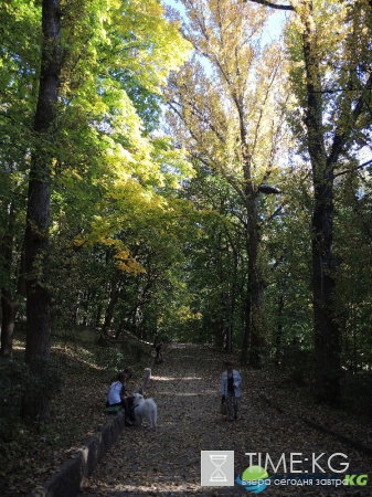 Кишиневская осень. Замечательный октябрьский день на Комсомольском озере