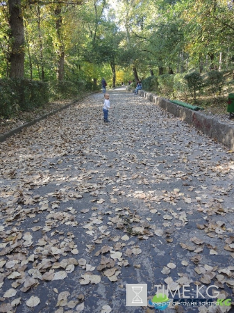 Кишиневская осень. Замечательный октябрьский день на Комсомольском озере