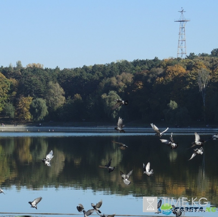 Кишиневская осень. Замечательный октябрьский день на Комсомольском озере