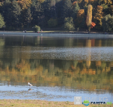 Кишиневская осень. Замечательный октябрьский день на Комсомольском озере
