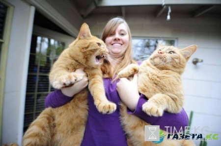 Куда пойти в Киеве 8 - 9 октября (афиша)