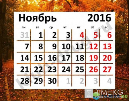 Ноябрьские праздники 2016 как отдыхаем: праздничные дни совпадают с каникулами