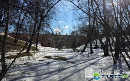 Первый снег в Москве выпадет уже на следующей неделе