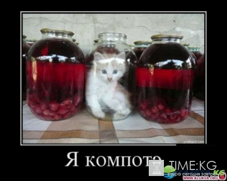 Плохое настроение – не грусти: прикольные картинки развеселят тебя так, что соседи сбегутся