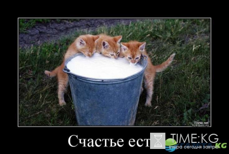 Плохое настроение – не грусти: прикольные картинки развеселят тебя так, что соседи сбегутся