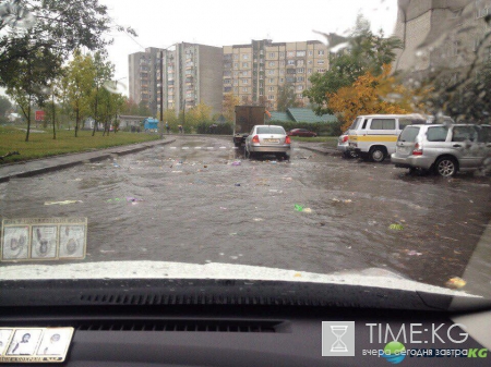 После дождя Львов «утонул» в мусоре (фото)