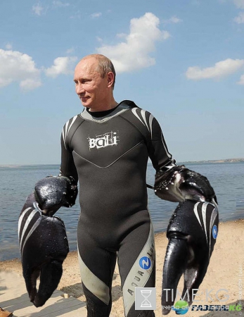 Путину 64: самое интересное из жизни президента: почему Путин краб, почему он никогда не переставляет мебель и многое другое