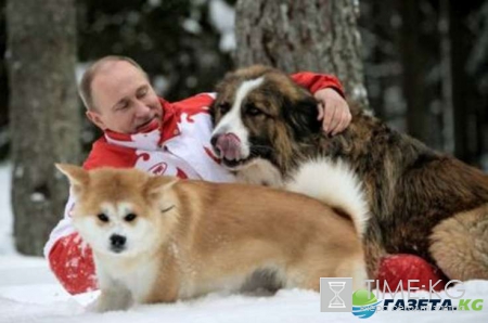 Путину 64: самое интересное из жизни президента: почему Путин краб, почему он никогда не переставляет мебель и многое другое