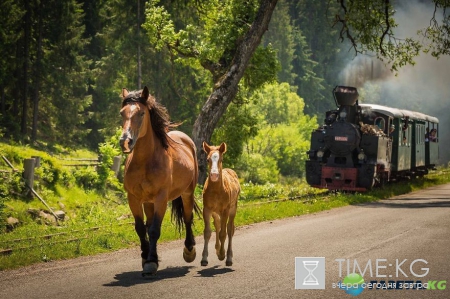 Румыния настоящая жемчужина которую следует посетить