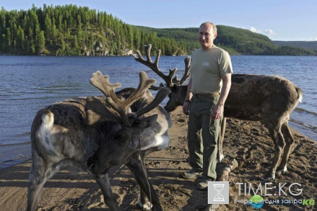 Самые яркие и запоминающиеся фото Путина с животными!