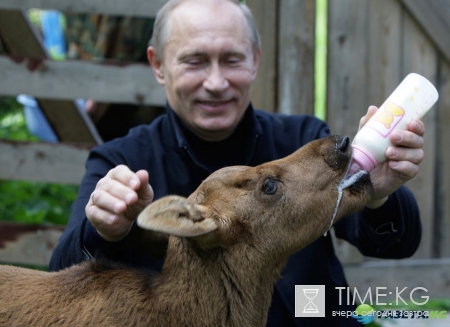 Самые яркие и запоминающиеся фото Путина с животными!