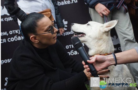 Собака певицы Елки дала интервью журналистам: фанаты взбудоражены до предела