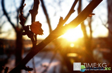 Совсем скоро в Украине ожидается потепление