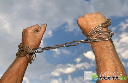 Винницкие фермеры пересмотрели «Рабыню Изауру»