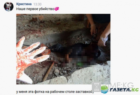 Живодерки из Хабаровска: двач, фото и видео расправ, флешмоб против Алены С. и Алины О. взорвал сеть