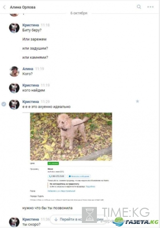 Живодерки из Хабаровска: фото и видео жестоких издевательств
