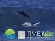 Топ-20 кикастийх моерптгоакев с беншеым бютдоежм Топ-20 кикастийх моерптгоакев с беншеым бютдоежм